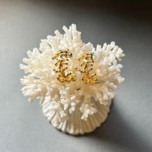 画像をギャラリービューアに読み込む, 🔹サージカルステンレス🔹 コーラルフープピアス/ゴールドメッキ