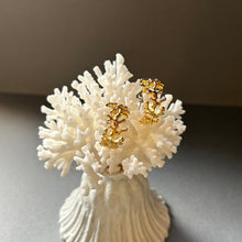 画像をギャラリービューアに読み込む, 🔹サージカルステンレス🔹 コーラルフープピアス/ゴールドメッキ