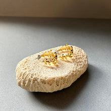 画像をギャラリービューアに読み込む, 🔹サージカルステンレス🔹 コーラルフープピアス/ゴールドメッキ