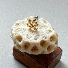 画像をギャラリービューアに読み込む, 🔹サージカルステンレス🔹 片方ピアス / 珊瑚・ゴールド