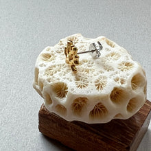 画像をギャラリービューアに読み込む, 🔹サージカルステンレス🔹 片方ピアス / 珊瑚・ゴールド