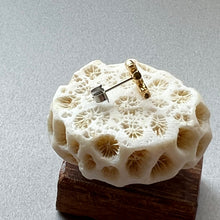 画像をギャラリービューアに読み込む, 🔹サージカルステンレス🔹 片方ピアス / 珊瑚・ゴールド