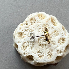 画像をギャラリービューアに読み込む, 🔹サージカルステンレス🔹 片方ピアス / 珊瑚・ゴールド