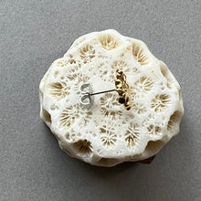 画像をギャラリービューアに読み込む, 🔹サージカルステンレス🔹 片方ピアス / 珊瑚・ゴールド