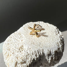 画像をギャラリービューアに読み込む, 🔹サージカルステンレス🔹 片方ピアス / ヒトデ・ゴールド