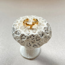 画像をギャラリービューアに読み込む, 🔹サージカルステンレス🔹珊瑚のイヤカフ/ゴールド