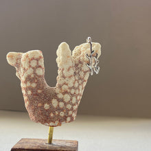 画像をギャラリービューアに読み込む, 🔹サージカルステンレス🔹ダブル珊瑚のイヤカフ