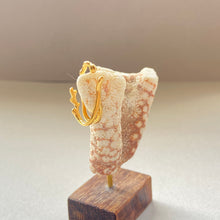 画像をギャラリービューアに読み込む, 🔹サージカルステンレス🔹ダブル珊瑚のイヤカフ/ゴールド