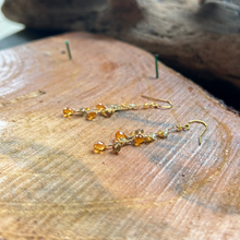 画像をギャラリービューアに読み込む, スぺサタイトガーネットのロングピアス