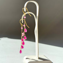 画像をギャラリービューアに読み込む, ルビー ロングピアス