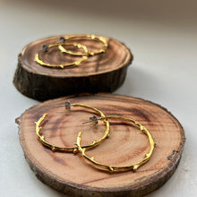 画像をギャラリービューアに読み込む, 🔹サージカルステンレス🔹 コーラルフープピアス / ゴールドメッキ (つや消し)