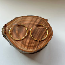 画像をギャラリービューアに読み込む, 🔹サージカルステンレス🔹 コーラルフープピアス / ゴールドメッキ (鏡面)