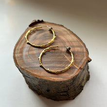 画像をギャラリービューアに読み込む, 🔹サージカルステンレス🔹 コーラルフープピアス / ゴールドメッキ (鏡面)
