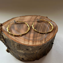 画像をギャラリービューアに読み込む, 🔹サージカルステンレス🔹 コーラルフープピアス / ゴールドメッキ (鏡面)