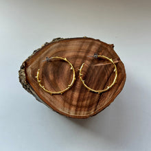 画像をギャラリービューアに読み込む, 🔹サージカルステンレス🔹 コーラルフープピアス / ゴールドメッキ (つや消し)