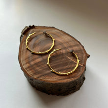 画像をギャラリービューアに読み込む, 🔹サージカルステンレス🔹 コーラルフープピアス / ゴールドメッキ (つや消し)
