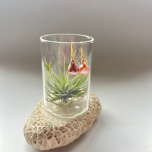 画像をギャラリービューアに読み込む, 淡水カラーパールの1粒ピアス