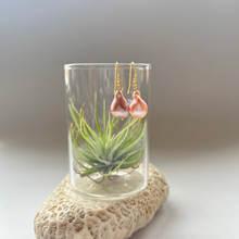 画像をギャラリービューアに読み込む, 淡水カラーパールの1粒ピアス