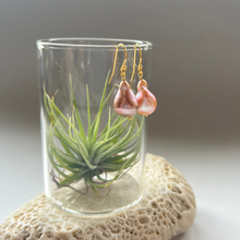 画像をギャラリービューアに読み込む, 淡水カラーパールの1粒ピアス