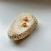 画像をギャラリービューアに読み込む, 淡水カラーパールの1粒ピアス