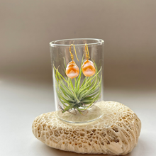 画像をギャラリービューアに読み込む, 淡水カラーパールの1粒ピアス