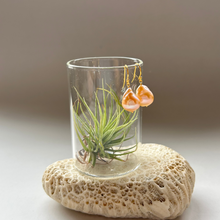 画像をギャラリービューアに読み込む, 淡水カラーパールの1粒ピアス