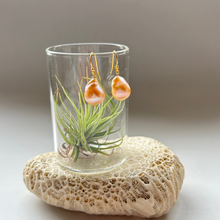 画像をギャラリービューアに読み込む, 淡水カラーパールの1粒ピアス