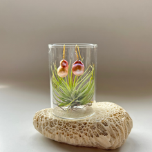 画像をギャラリービューアに読み込む, 淡水カラーパールの1粒ピアス