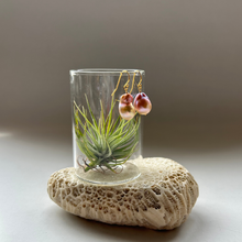 画像をギャラリービューアに読み込む, 淡水カラーパールの1粒ピアス