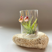 画像をギャラリービューアに読み込む, 淡水カラーパールの1粒ピアス