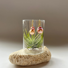 画像をギャラリービューアに読み込む, 淡水カラーパールの1粒ピアス