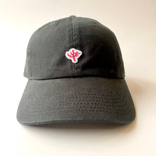 画像をギャラリービューアに読み込む, BRANCHES オリジナルキャップ