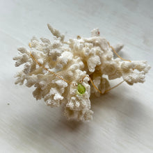 画像をギャラリービューアに読み込む, ペリドットネックレス/ブリオレット