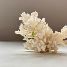 画像をギャラリービューアに読み込む, ペリドットネックレス/ブリオレット