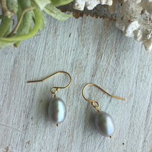 画像をギャラリービューアに読み込む, 淡水パールの1粒ピアス(グレー)