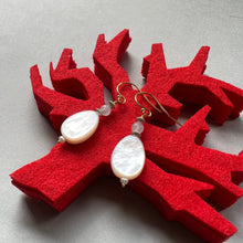 画像をギャラリービューアに読み込む, 白蝶貝(しずく型)とアクアマリンのピアス