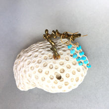 画像をギャラリービューアに読み込む, ターコイズピアス 《5粒》