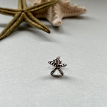 画像をギャラリービューアに読み込む, 🔹サージカルステンレス🔹 片方ピアス / ヒトデ