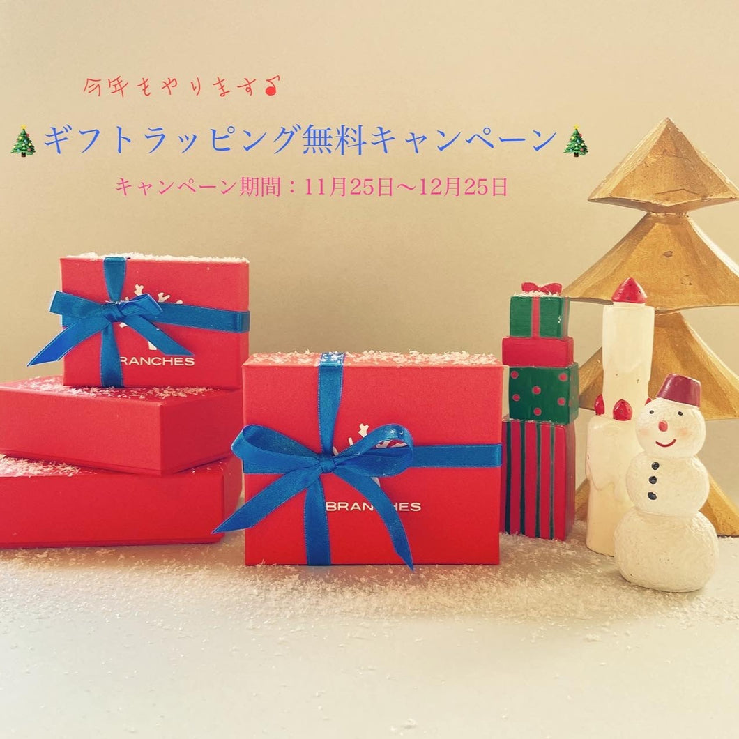 🎄ギフトラッピング無料🎄