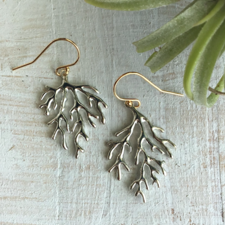 BRANCHES コーラルモチーフのシルバーピアス 石垣島アクセサリー